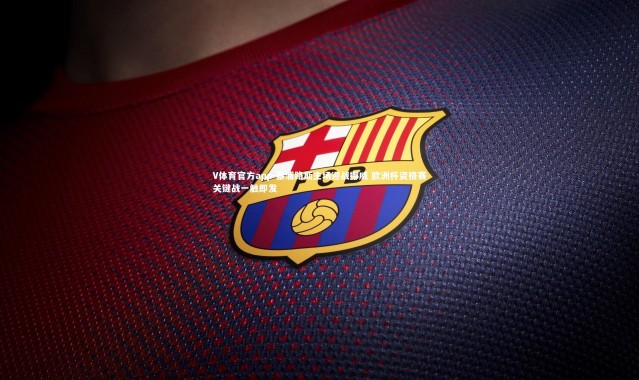 V体育官方app-塞浦路斯主场迎战挪威 欧洲杯资格赛关键战一触即发