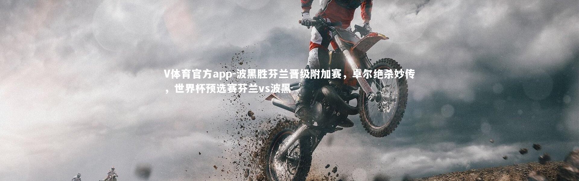 V体育官方app-波黑胜芬兰晋级附加赛，卓尔绝杀妙传，世界杯预选赛芬兰vs波黑