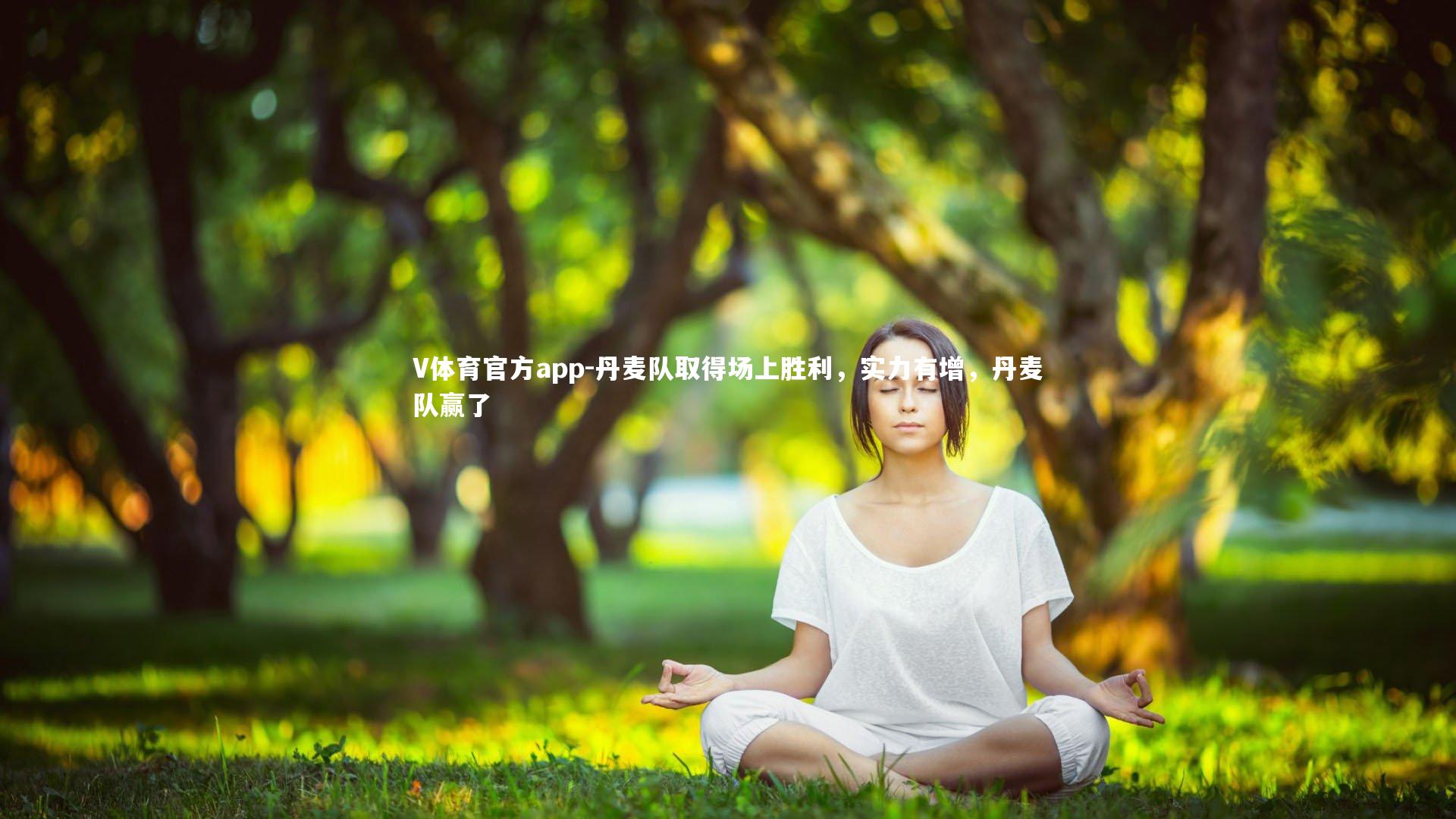 V体育官方app-丹麦队取得场上胜利，实力有增，丹麦队赢了