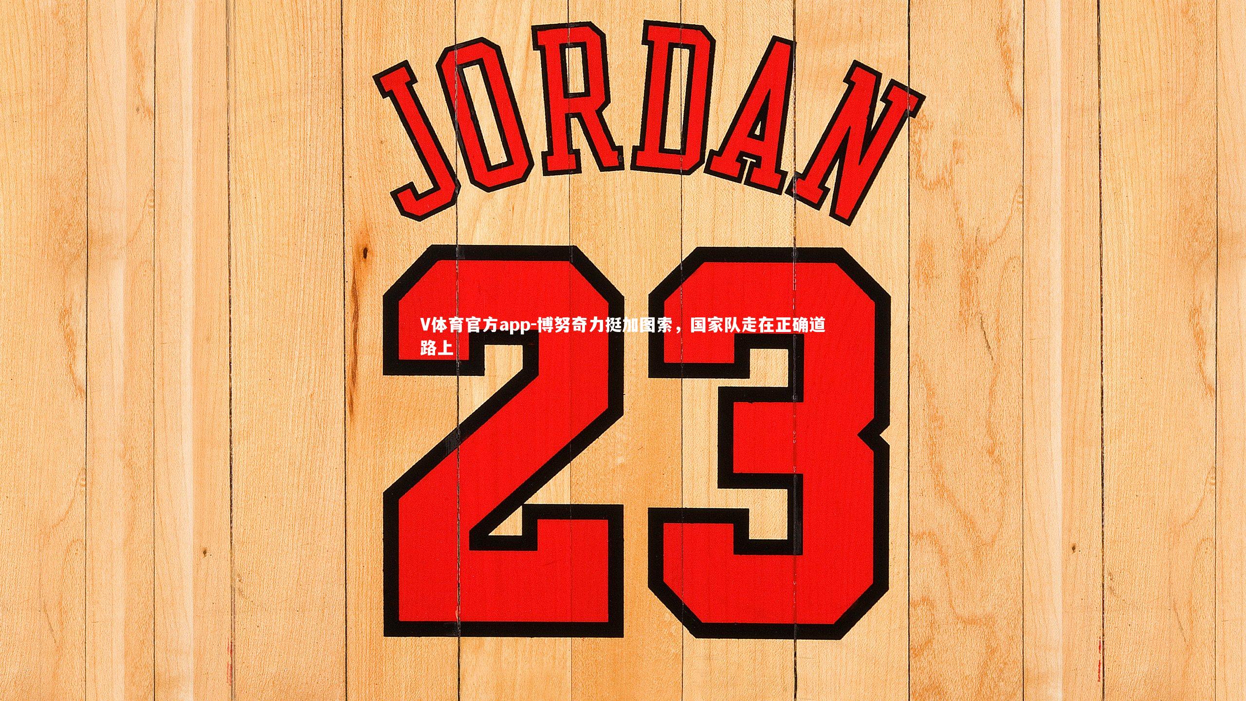 博努奇力挺加图索，国家队走在正确道路上